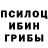 Галлюциногенные грибы ЛСД Yakow Popow