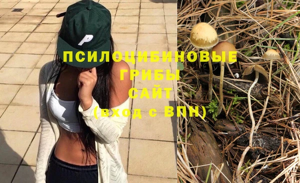 молекула духа Балабаново